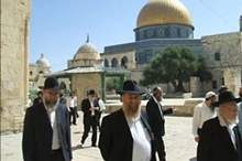 05095233281175212727230138723303