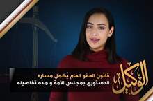 العفو العام