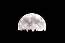 5c4edea695a597821e8b4630