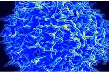 5c4ffcdbd43750f10c8b460c