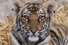 50882580_1231541043662925_8729439162748370944_o