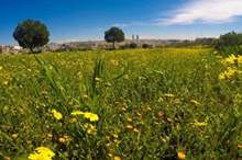 1201922173040501608707