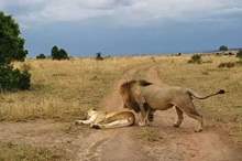 5c5167b995a597fa428b45a1