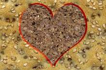 5c5158b395a597fa428b4578