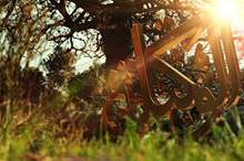 17098305_1351961134879227_5957252795425895865_n