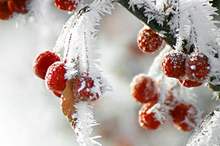 8e1006088afb94180ac70632c6a84116