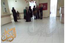 49635266_2073839232702063_6000528397271302144_n