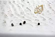 49899437_487863545076631_8133192153242271744_n