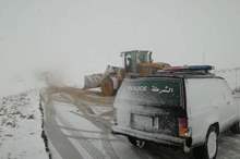 158442a7-a2b0-4411-a9bb-ca6ae9fe62fe_529039_highres