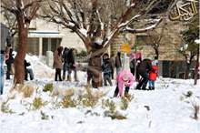 49428996_725960287804102_828683424020561920_n