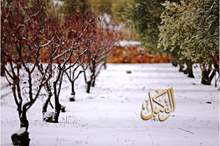 49333508_382985189176187_4287131858312888320_n