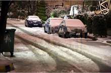 120196185020526459731