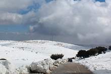 8b0ebe40266df66305bd7d800c5f2445