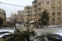 10450160_775885295820150_9106541539042068363_n