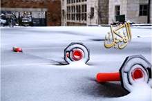 120195125927332281344