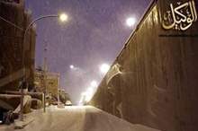 88a8b9bb1f6b22d52dcfe249f45b95de