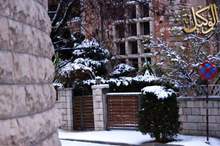 12019895542774841962 (1)