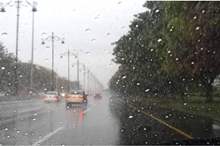 12201861686733469763