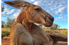 48177991_1930091377059571_7269219439671771136_n