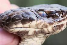 5c015767d43750af3a8b45de