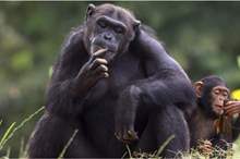 News-P-413662-636791733332159661