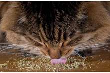 5c0f9a6dd437500e4e8b45f8