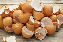 04925015-63e3-45bc-9a3c-9e6e314aaf02_16x9_1200x676