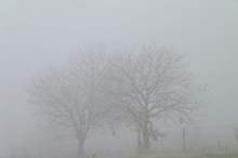 1120182623257978375401