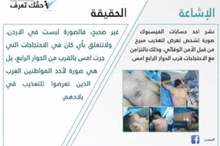 219849_50_1544860733