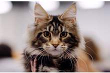 5c126f43d43750093b8b457c