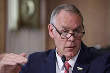 رايان زينكي