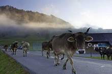 5c13b14fd43750871a8b4568