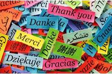 طفرة-علمية-غير-مسبوقة..-حبوب-تجعل-الإنسان-قادرًا-على-تعلم-لغة-جديدة-بالكامل-1300x600