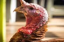 5c13b8ad95a597b05e8b4572