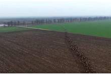 5c179ffc95a59747138b45dc