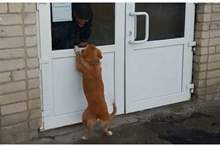 5c13cb9dd43750231b8b45bd