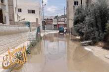 47578776_1819383831504027_4508742550059745280_n