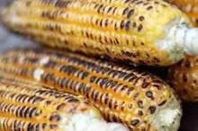 38632c4e37ba5bcf50cc7383f013d588