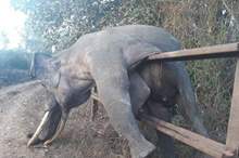 5c18fd7095a597cd068b45d4