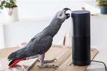 News-P-416863-636806598184005522