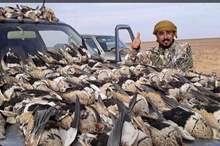 ebd26b00-c4f4-46ee-a749-ef5d49bc7aac