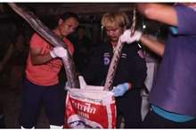 5c00ea90d437504a6b8b4609