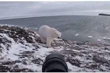 5c1bac9dd437509b5b8b4625