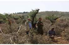 di5lcgw3qnaegvuympowqg-thumbnail-720x720-70-jpg-67562271544278994