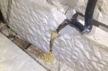 91429abd-940f-4d54-8a42-9a6fcb06865d