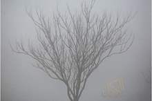 1220181293025570546372