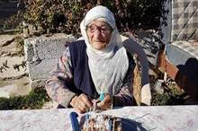 e81f146ae64024a37cab06872dfc86f2