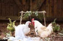 11c32829d704030a5b5edfccc09cce0f27e918b0-231218152736