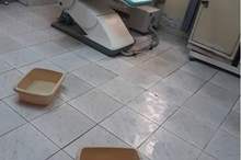 49079309_369633283601154_9021263631957884928_n