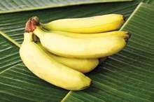 5bfe7079d43750ef568b45e4